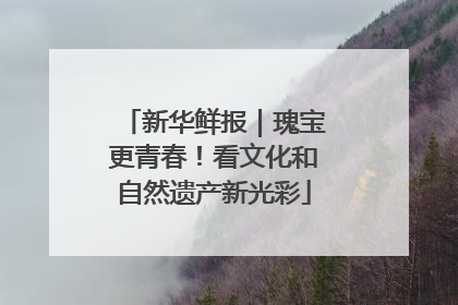 新华鲜报｜瑰宝更青春！看文化和自然遗产新光彩