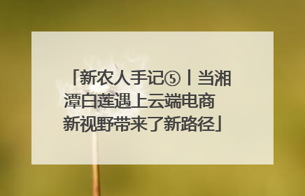 新农人手记⑤丨当湘潭白莲遇上云端电商 新视野带来了新路径