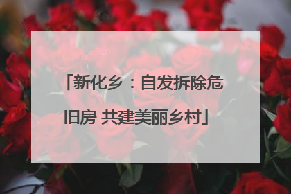 新化乡：自发拆除危旧房 共建美丽乡村