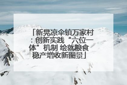 新晃凉伞镇万家村：创新实践“六位一体”机制 绘就粮食稳产增收新图景