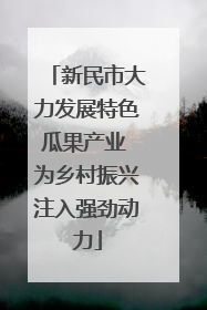新民市大力发展特色瓜果产业 为乡村振兴注入强劲动力