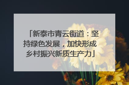 新泰市青云街道：坚持绿色发展，加快形成乡村振兴新质生产力