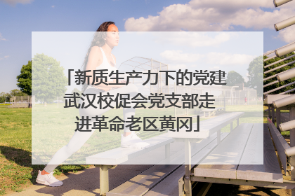 新质生产力下的党建 武汉校促会党支部走进革命老区黄冈