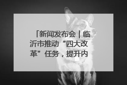 新闻发布会｜临沂市推动“四大改革”任务，提升内部审计监督效能