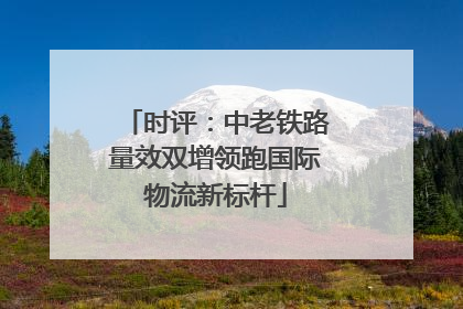 时评：中老铁路量效双增领跑国际物流新标杆