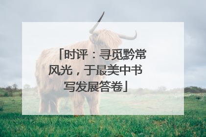 时评：寻觅黔常风光，于最美中书写发展答卷