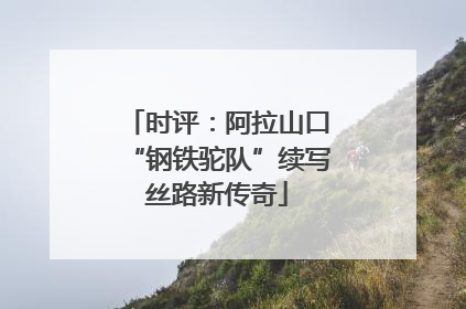 时评：阿拉山口“钢铁驼队”续写丝路新传奇