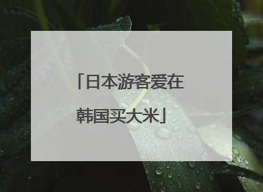 日本游客爱在韩国买大米