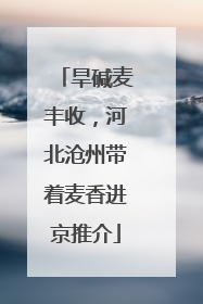 旱碱麦丰收，河北沧州带着麦香进京推介