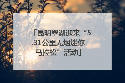 昆明翠湖迎来“5.31公里无烟迷你马拉松”活动