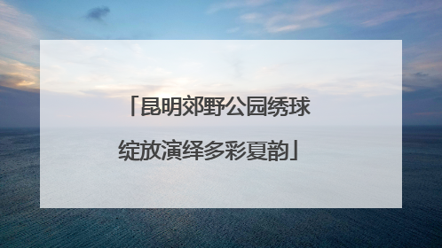 昆明郊野公园绣球绽放演绎多彩夏韵