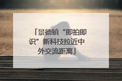 景德镇“即拍即识”新科技拉近中外交流距离