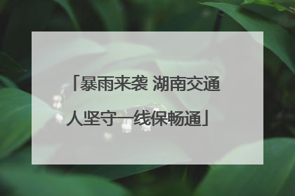 暴雨来袭 湖南交通人坚守一线保畅通