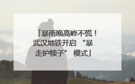 暴雨晚高峰不慌！武汉地铁开启 “暴走护犊子” 模式