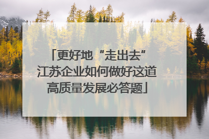 更好地“走出去” 江苏企业如何做好这道高质量发展必答题