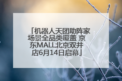 机器人天团助阵家场景全品类覆盖 京东MALL北京双井店6月14日启幕
