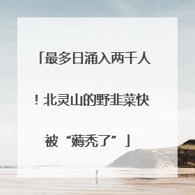 最多日涌入两千人！北灵山的野韭菜快被“薅秃了”