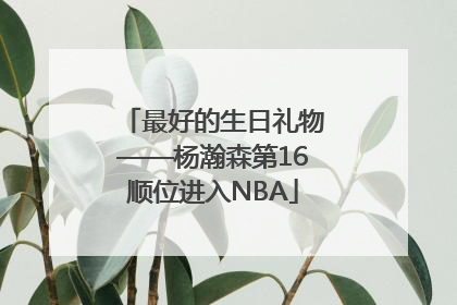 最好的生日礼物——杨瀚森第16顺位进入NBA