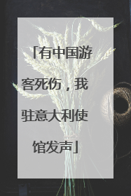 有中国游客死伤，我驻意大利使馆发声