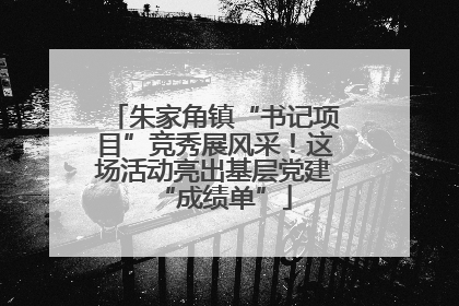 朱家角镇“书记项目”竞秀展风采！这场活动亮出基层党建“成绩单”