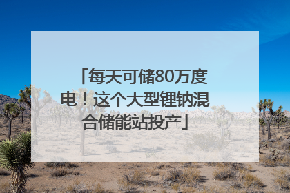 每天可储80万度电！这个大型锂钠混合储能站投产