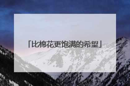 比棉花更饱满的希望