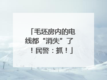 毛坯房内的电线都“消失”了！民警：抓！