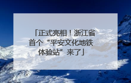 正式亮相！浙江省首个“平安文化地铁体验站”来了