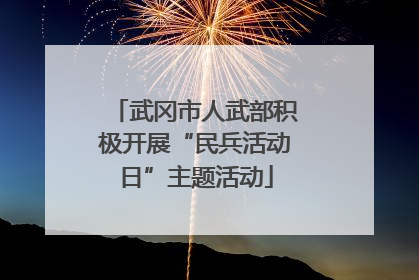 武冈市人武部积极开展“民兵活动日”主题活动