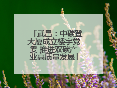 武昌：中碳登大厦成立楼宇党委 推进双碳产业高质量发展