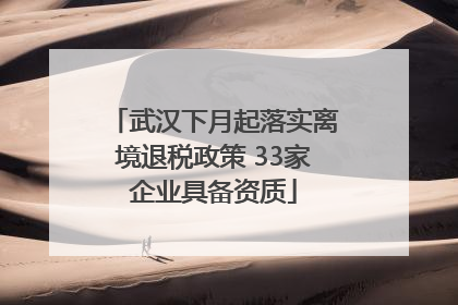 武汉下月起落实离境退税政策 33家企业具备资质