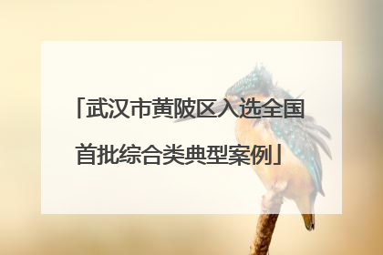 武汉市黄陂区入选全国首批综合类典型案例