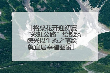 格桑花开迎初夏 “彩虹公路”绘锦绣 德兴以生态之笔绘就宜居幸福图景
