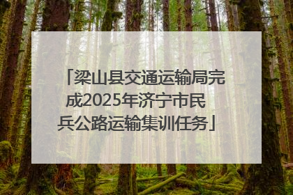 梁山县交通运输局完成2025年济宁市民兵公路运输集训任务