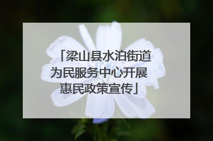梁山县水泊街道为民服务中心开展惠民政策宣传