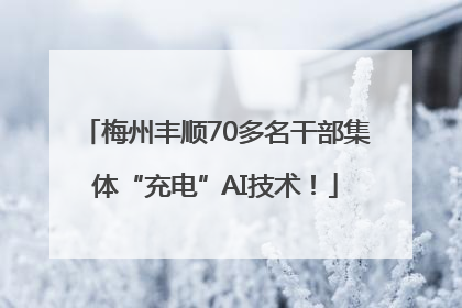 梅州丰顺70多名干部集体“充电”AI技术！