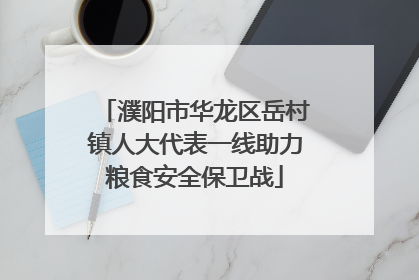 濮阳市华龙区岳村镇人大代表一线助力粮食安全保卫战