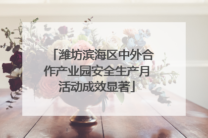 潍坊滨海区中外合作产业园安全生产月活动成效显著