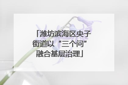 潍坊滨海区央子街道以“三个问”融合基层治理