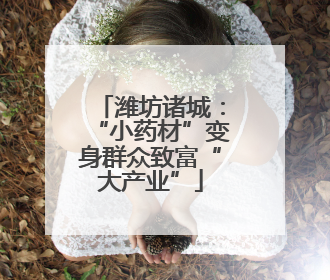 潍坊诸城：“小药材”变身群众致富“大产业”
