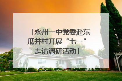 永州一中党委赴东瓜井村开展“七一”走访调研活动