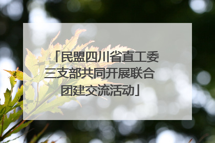 民盟四川省直工委三支部共同开展联合团建交流活动