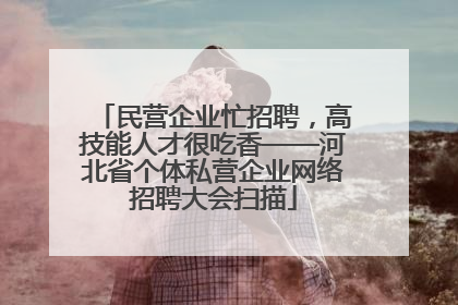 民营企业忙招聘，高技能人才很吃香——河北省个体私营企业网络招聘大会扫描