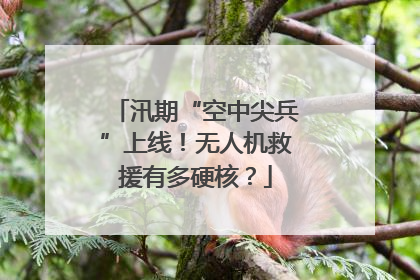 汛期“空中尖兵”上线！无人机救援有多硬核？