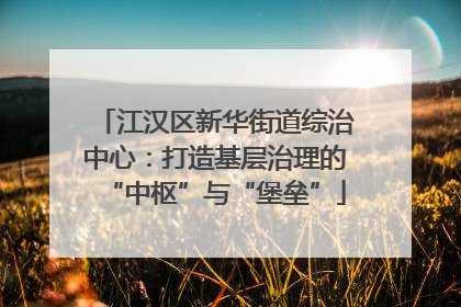 江汉区新华街道综治中心：打造基层治理的“中枢”与“堡垒”
