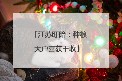 江苏盱眙：种粮大户喜获丰收