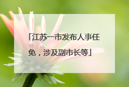 江苏一市发布人事任免，涉及副市长等