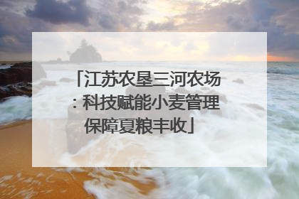 江苏农垦三河农场：科技赋能小麦管理保障夏粮丰收