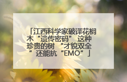 江西科学家破译花榈木“遗传密码” 这种珍贵的树 “才貌双全”还能抗“EMO”
