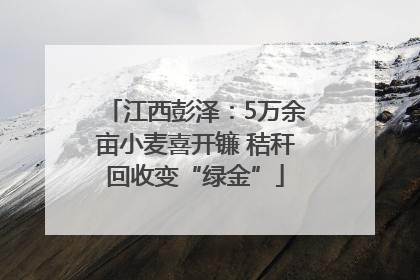 江西彭泽：5万余亩小麦喜开镰 秸秆回收变“绿金”